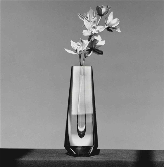 Orchid by Robert Mapplethorpe, 1982