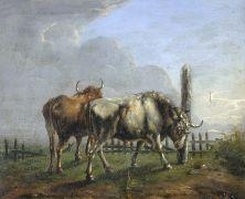 Two works: Studies of Longhorn Cattle; Sheep by German School, 18th Century, 18th Century
