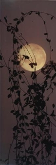 Yellow Moon - Susan Derges
