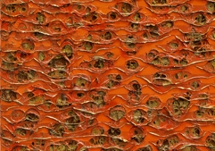 Gereon Krebber - Thomas Levy Gallery, Berlin