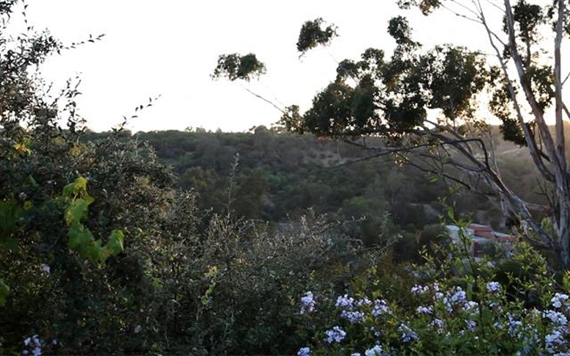 Galerie Grita Insam, Wien, Austria