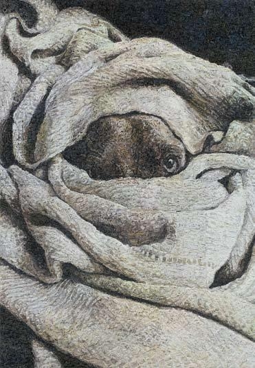 Dog Series by Gu Gyosu, 2010