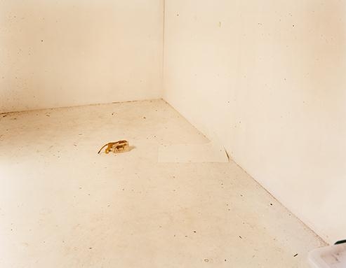 #6 Empty Studio - Justine Varga