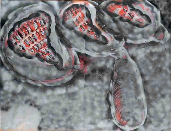 Ostriche senza saperlo (Ostriches Without Knowing It) by Mario Merz, 1977-1978