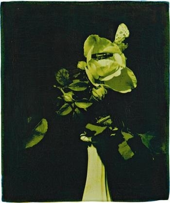 Mermaid Rose with Tropical Bugs by Oberto Gili, 2009