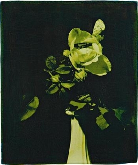 Mermaid Rose with Tropical Bugs - Oberto Gili