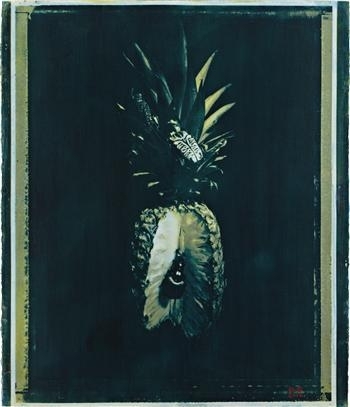 Pineapple Eaten by Japanese Beetle by Oberto Gili, 2010