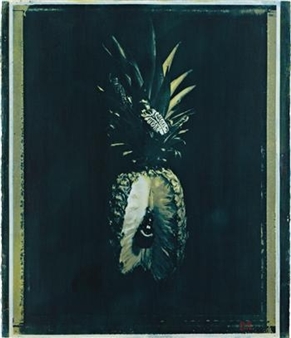 Pineapple Eaten by Japanese Beetle - Oberto Gili