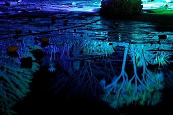 Wayne Barrar - McNamara Gallery Photography