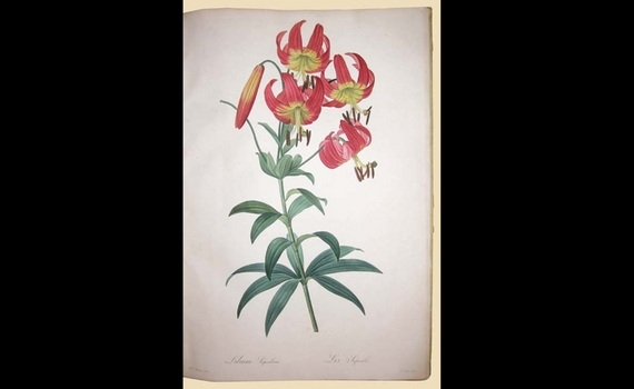 The International Fine Art & Antique Dealers Show - Haughton International Fairs