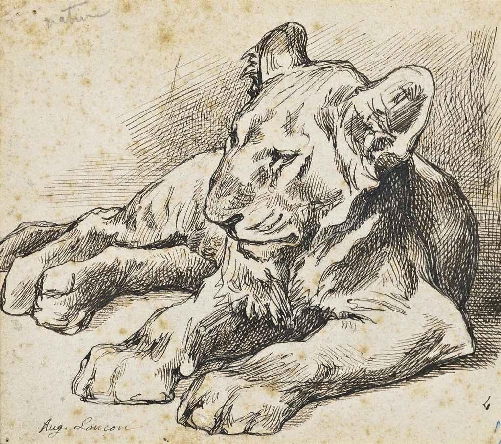 Artwork by Auguste Lançon, Study of a lion cub, Made of pen and black ink