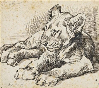 Study of a lion cub - Auguste Lançon