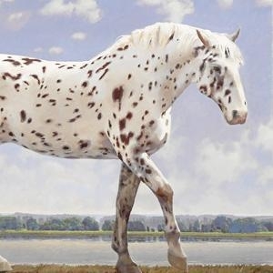 Horse sense on a grand scale