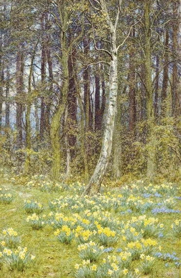The daffodil wood by Helen Allingham