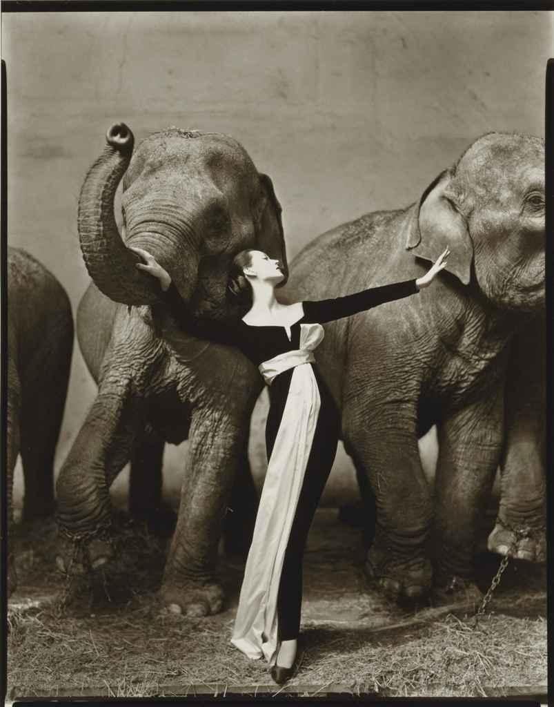 Artwork by Richard Avedon, Dovima with Elephants, Evening Dress by Dior, Cirque d'Hiver, Paris, Made of gelatin silver print