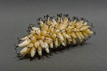 Susie MacMurray: The Eyes of the Skin - Agnew's Gallery
