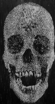 For the GOD Bless - Insane Park