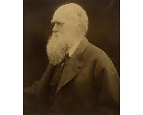 Charles Darwin, 1868 by Julia Margaret Cameron, 1868