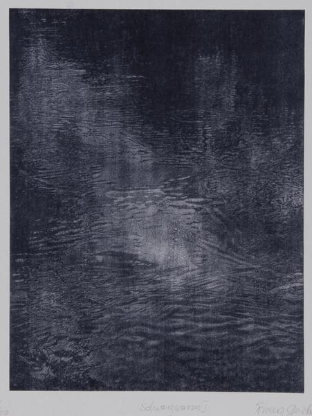 Artwork by Franz Gertsch, 7 works: 5 Bilder, Made of silkscreens printed in colors