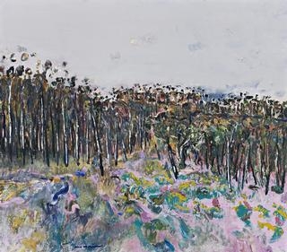 YELLOW GORSE, YAN YEAN