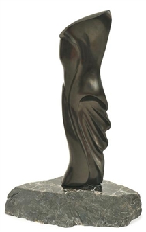 The Black Shell - Graham Radcliff