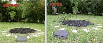 UPDATED: The Art Guys' Controversial Plant Attacked By Suspected Vandals