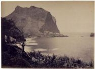 Forty three works : Madère - João Francisco Camacho