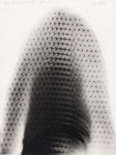 DER REICHTUM DER SPERMEN (THE ABUNDANCE OF SPERMS) by Heinz Mack, 1973