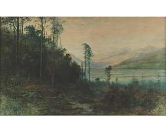 The last gleam of sunshine, Kinloch, North Island, New Zealand - Alfredo Sinclair