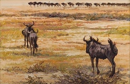 Etosha Pan, SWA by Johan Grobler