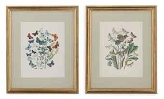 20 works: FLOWERS - M.A. Burnett