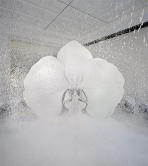  Darren Almond & Marc Quinn - Patricia Low Contemporary, St. Moritz