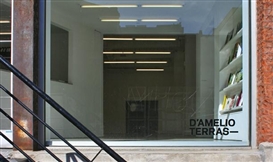Why We're Closing: Christopher D'Amelio on Where D'Amelio Terras Gallery is Going 