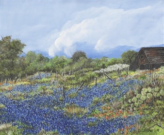 Spring Magic in Texas - Dimple Crow