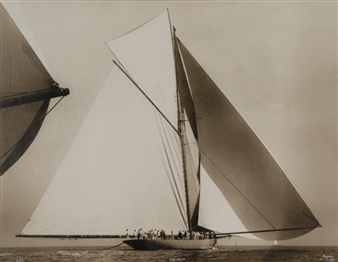 SHAMROCK - Frank Bekon