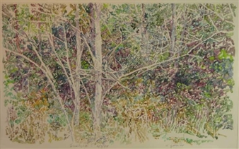 SUNLIGHT - Daniel Ziembo