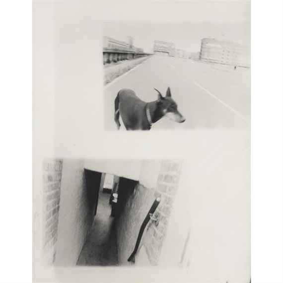Ingrid Dinter | Performance at Auction | MutualArt