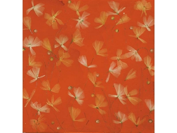 ELIXIR by William Lachance