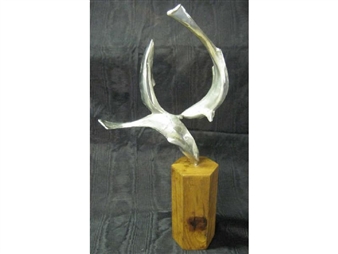 FISKA - Saunders Schultz