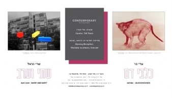 Sari Carel-Warp and Weft   - Contemporary by Golconda