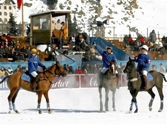 Daniela Finke : Polo On Snow - Galleri Jules Julian