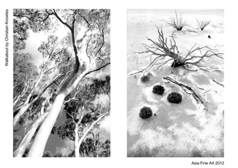 Christian Knowles: Walkabout  - Asia Fine Art Gallery