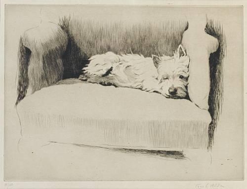 Boss-eye'd Peter by Cecil Aldin