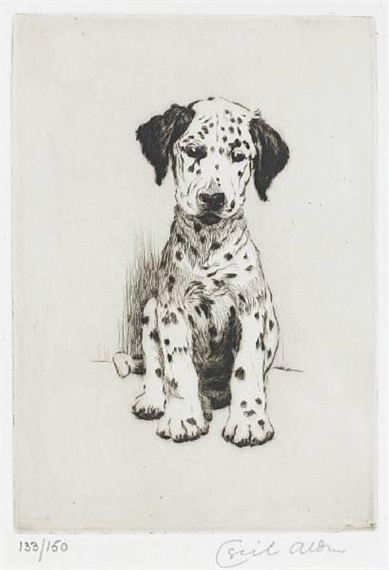 A Dalmatian puppy by Cecil Aldin