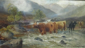Highland cattle crossing a River - Glenn Motley