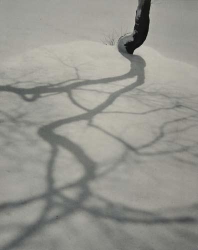 Fassbender Adolf Shadow Fantasy 1945 Mutualart
