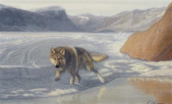 LONE WOLF - Lorenzo Fracchetti