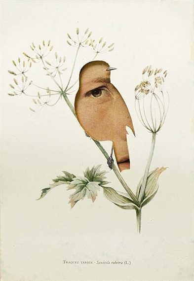 Face by Jiří Kolář, 1995