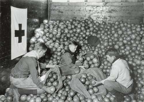 Suite of 14 photographs depicting Red Cross relief efforts in drought-stricken Kentucky