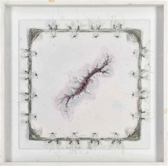 Wound drawing no 8 (Scar) - Cathy de Monchaux